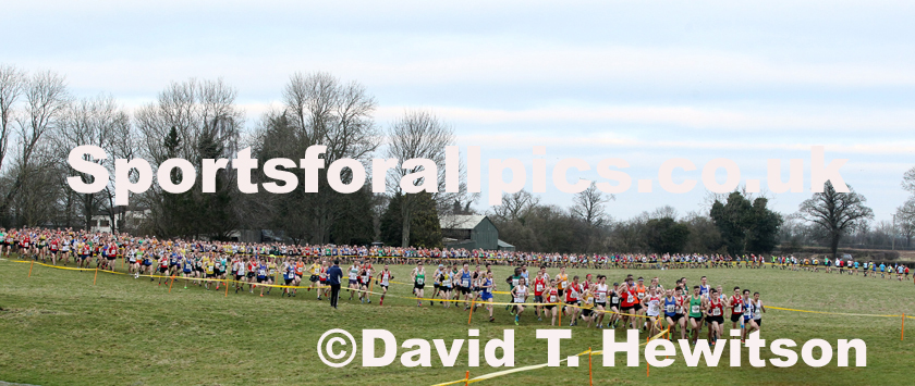 Senior mens Northern Cross Country Champs., Camp Hill Estate, Kirklington.  Photo: David T. Hewitson/Sports for All Pics